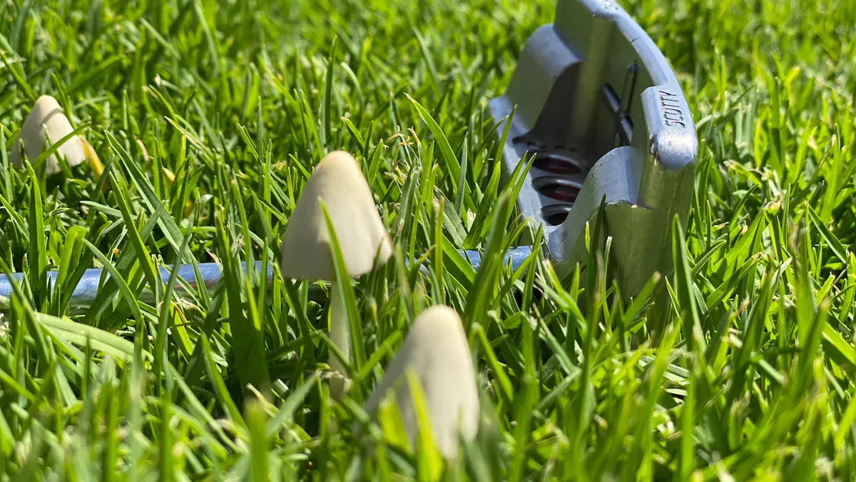 Secure Anchoring on Grassy Areas